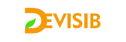 Devisib logo